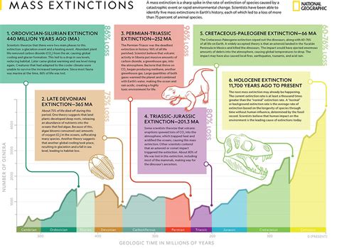 The Holocene Extinction