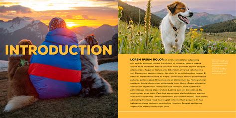 EVERY DOG DESERVES AN ADVENTURE on Behance