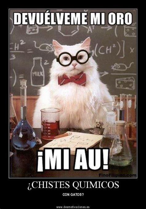 Mi Profesor de Química Online 37 Memes que solo un químico entendería