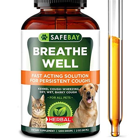 Top 10 Best Decongestant For Cats In 2023 Reviews By Experts