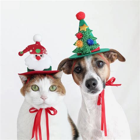 Pet Dog Cat Santa Hat Christmas Costume Accessories Small Dogs Cats