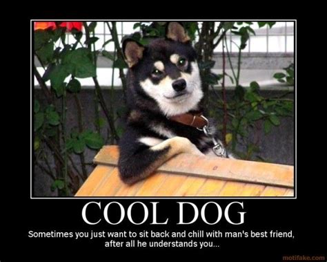 Image 43222 Cool Dog Know Your Meme