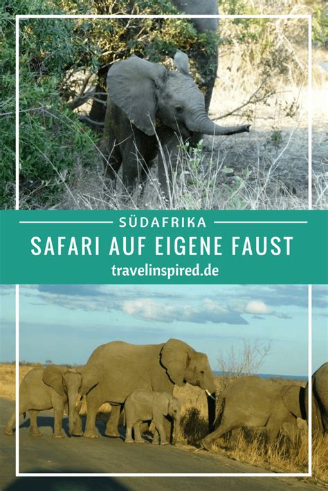 8 tage südafrika lesotho safari urlaub diese tour führt sie von der subtropischen küstenregion am indischen ozean um durban zu den drakensbergen und weiter in das bergkönigreich lesotho. Südafrika Nationalparks: Safari auf eigene Faust ...