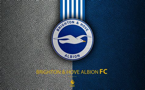 Brighton And Hove Albion Fc Wallpapers Wallpaper Cave 461