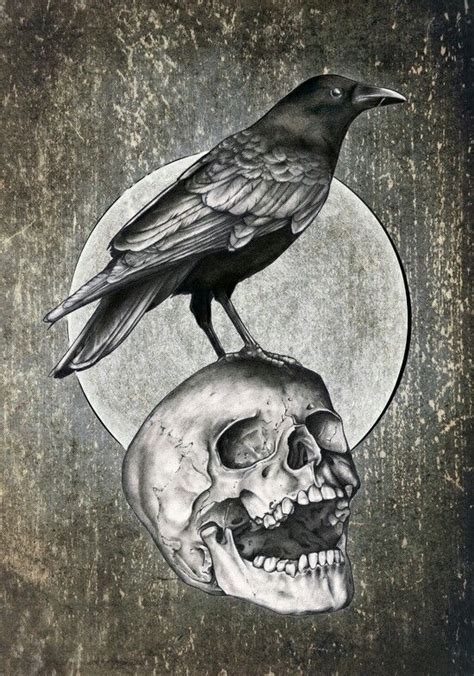 Skull And Raven Skull Art Art Crow Art