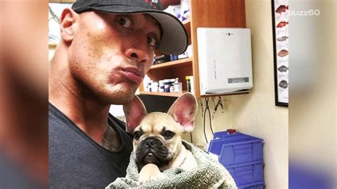 The Rock Says Goodbye To His Beloved Dog In Touching Instagram Post