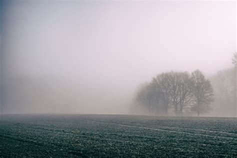 Fog Covers A Desolate Farm Field On A Misty Day Foggy Farm Fields 4k