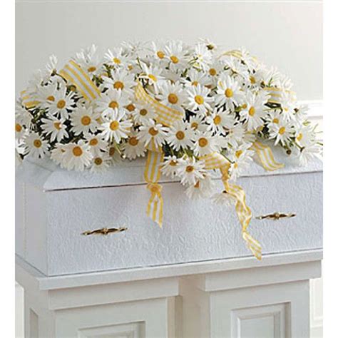 Elegant Daisy Casket Spray C Funeral Flower Arrangements