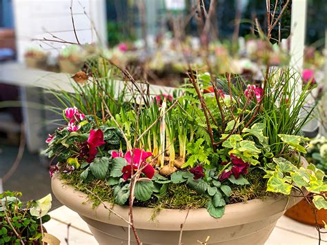 423 likes · 16 talking about this · 331 were here. Garten Müller - Die grüne Oase in Köln-Weiden - Beet ...