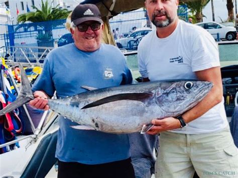 Salidas De Pesca En Puerto Las Galletas Con Charter White Tuna Precios
