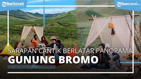 Wajib Coba Layanan Piknik Di Bromo Sensasi Sarapan Outdoor Dengan