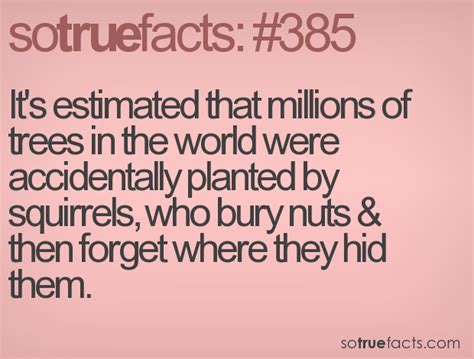 Its Estimated That Millions Of Trees In The World Were Accidentally