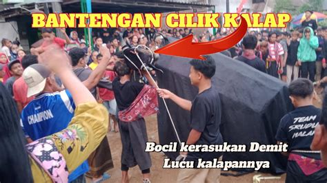 BANTENGAN CILIK KERASUKAN DEMIT Bagaimana Aksi Kalapanya Liat Ini