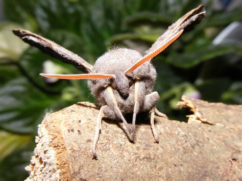 The Wonders of Rooksbury Mill Local Nature Reserve - Love Andover