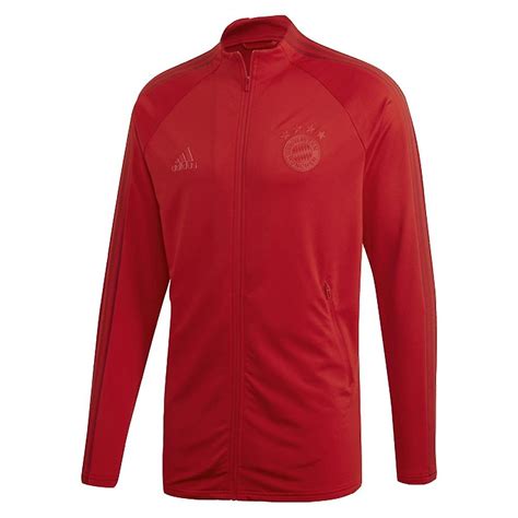 Buy adidas men's fc bayern anthem jacket (small) collegiate navy: Bayern Munich Anthem Jacket (Red) | Fruugo AU