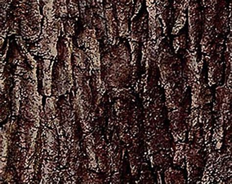 Brown Tree Bark Fabric Naturescapes Northcott 21396 38 Etsy