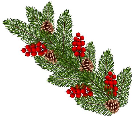 Free Christmas Tree Branch Png Download Free Christma