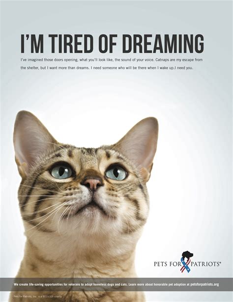 Animal Shelter Quotes Animal Quotes Animal Rescue Animal Adoption