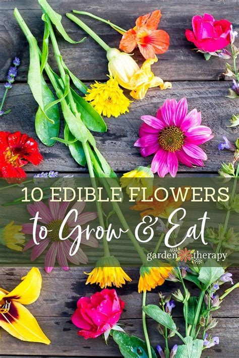 Edible Flowers Artofit