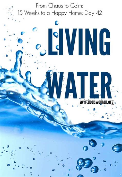 Living Water Day 42 A Virtuous Woman