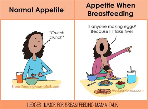 new batch of breastfeeding cartoons hedger humor