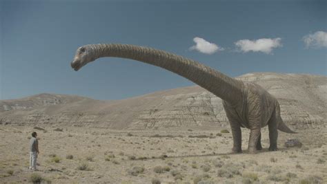 Meet The Largest Dinosaur Ever Discovered 360° Video