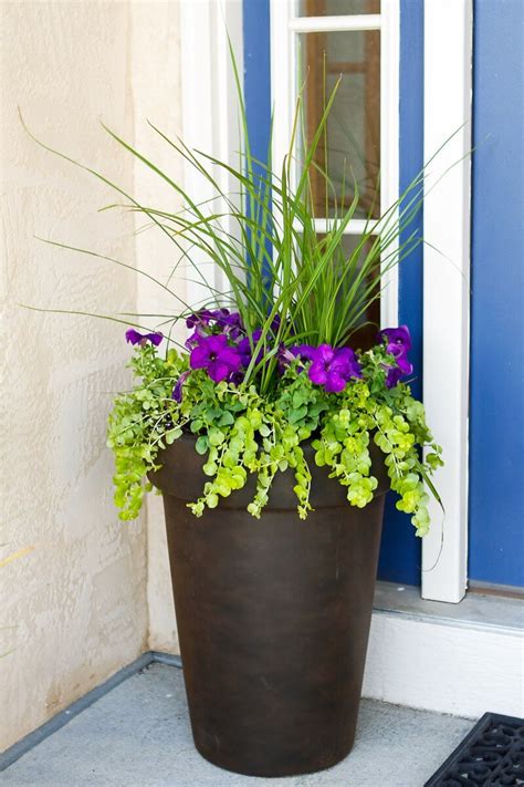 40 Best Front Door Flower Pots Ideas And Designs For 2021