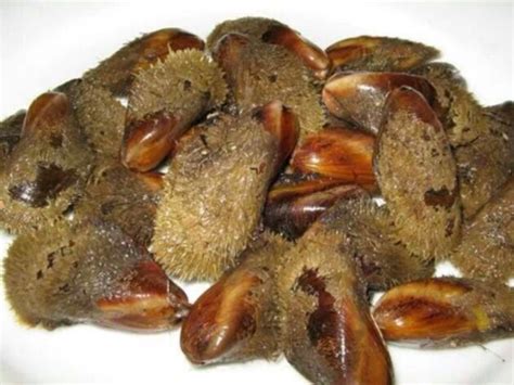 Al momento è vietata la vendita dei datteri. Altro che sushi, a Bari il "crudo" è da sempre un must ...