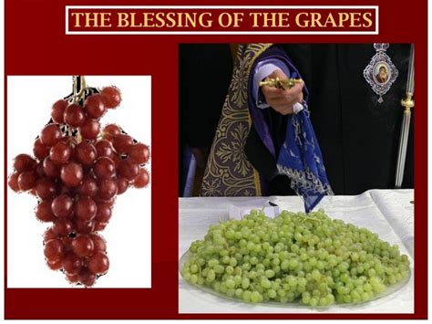 Grapes Blessing
