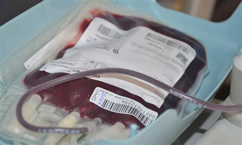 Quantos Litros De Sangue Um Corpo Humano Tem