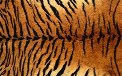 Tiger Pattern Wallpaper 1920x1200 14429