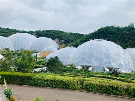 Today The Eden Project Launched Its New Arts Programme