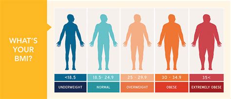 Find out more and use our tools to get a better idea of how much you should weigh. BMI Calculator - Auckland Weight Loss Surgery