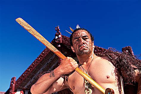 毛利文化图片毛利文化图片大全毛利文化图片素材全景视觉