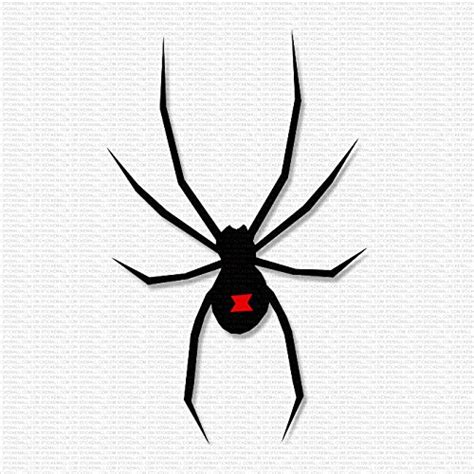 Best Car Decal For Commemorating The Black Widow