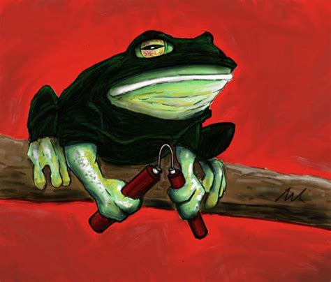 Ninja Frog By Haywirevisions On Deviantart