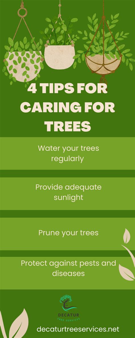 4 Tips For Caring For Trees Infographic Tree Infographic