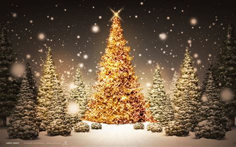 Maybe you would like to learn more about one of these? christmas-tree-background-3 - Trends in USA