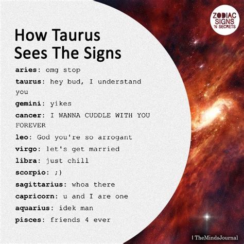How Taurus Sees The Signs Taurus Zodiac Facts Zodiac Signs Zodiac