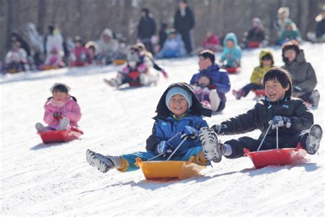 Reach out to mount snow or visit their website for the latest lift ticket pricing, deals and discounts or to purchase lift tickets and. Nami Island & Elysian Gangchon Ski Resort tour - Snow Sled ...