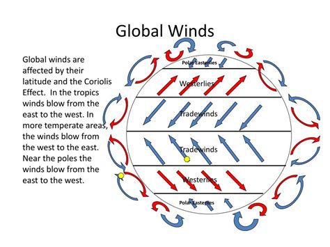 Ppt Global Wind Patterns Powerpoint Presentation Free Download Id