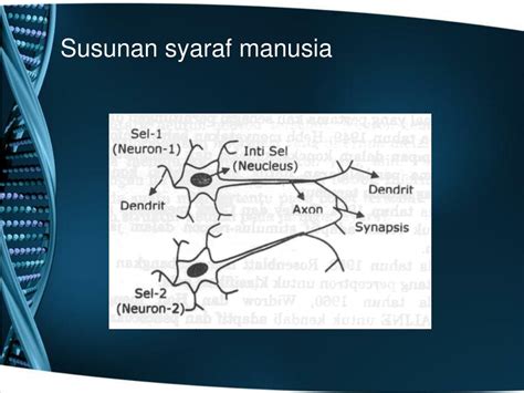 PPT Jaringan Syaraf Tiruan JST PowerPoint Presentation Free
