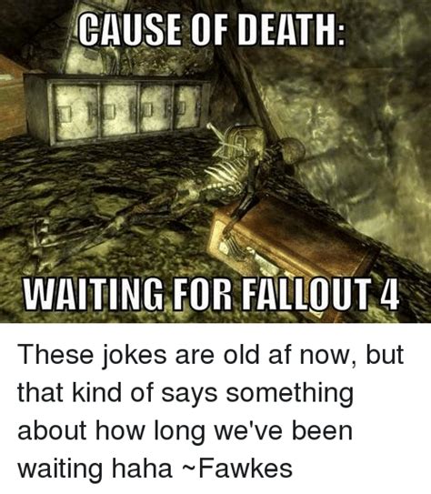 Cause Of Death Waiting For Fallout 4 These Jokes Are Old Af Now But