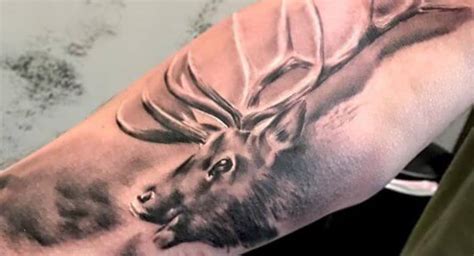 14 White Tailed Deer Antlers Tattoo Designs Petpress