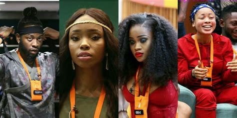 Bbnaija Following Bambam’s Eviction Teddy A Says Nigerians Are Blind Information Nigeria