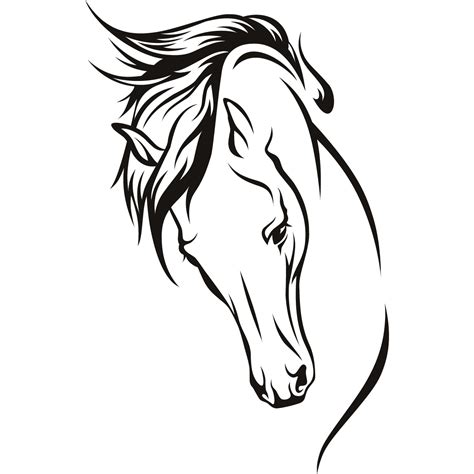 Horse Head Line Drawing At Getdrawings Free Download