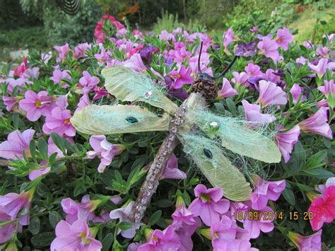 Maple Seed Dragonfly Maple Tree Dragonfly Crafts Garden Art Seeds