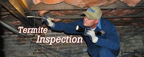 We at command pest control are more well qualified to get the job done right. Curry's Termite & Pest Control