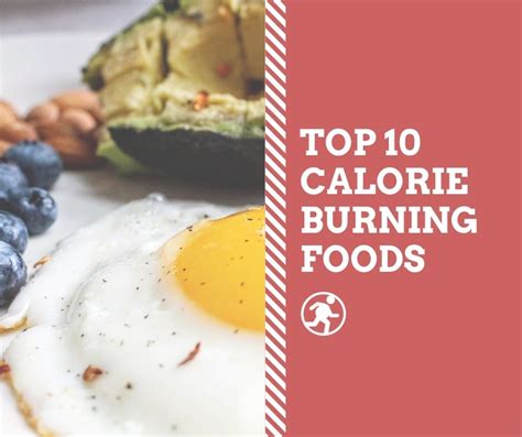 Top 10 Calorie Burning Foods