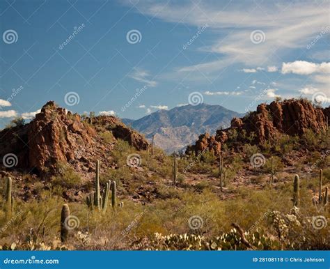 Arizona Desert Landscape Stock Photo Image Of Scene 28108118